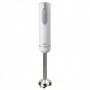 BATIDORA PIE VARILLA INOXIDABLE 700W BT158