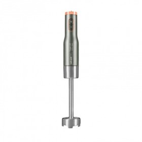 BATIDORA PIE SUPER VIP 800W INOXIDABLE