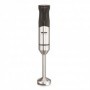 BATIDORA PIE INOXIDABLE TWIST 1500W
