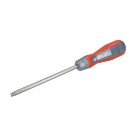 DEST.MAGNUM T/TORX 40x100MM