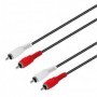 CONEXION AUDIO 2RCA M A 2RCA M 2.5M TME