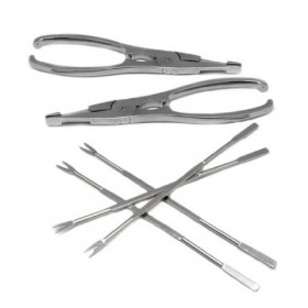 SET MARISCO 2 PINZAS Y 4 PINCHOS ACERO