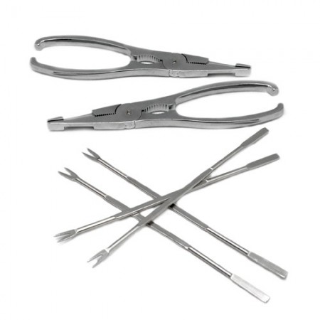 SET MARISCO 2 PINZAS Y 4 PINCHOS ACERO
