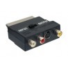 ▷ Adaptador Peritelevision | Ferreidea