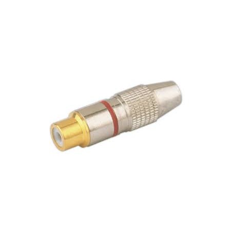 ▷ Adaptador Rca Conexión Rápida | Ferreidea