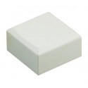 ▷ Tecla Cuadrada Blanca Del 17.005 | Ferreidea