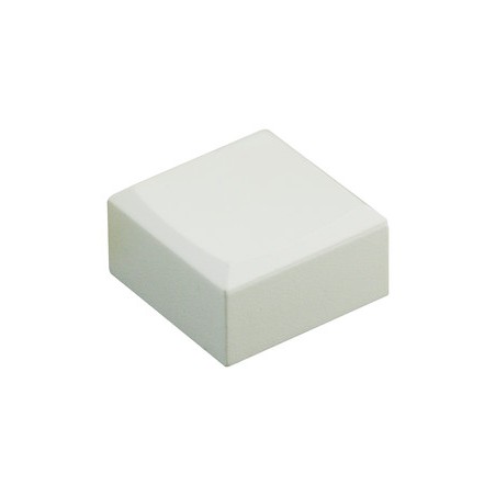 ▷ Tecla Cuadrada Blanca Del 17.005 | Ferreidea