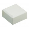 ▷ Tecla Cuadrada Blanca Del 17.005 | Ferreidea