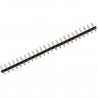 ▷ Regleta 24 Contactos Paso 5Mm. | Ferreidea