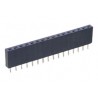 ▷ Regleta 40C Recto Sencilla Hembra  | Ferreidea