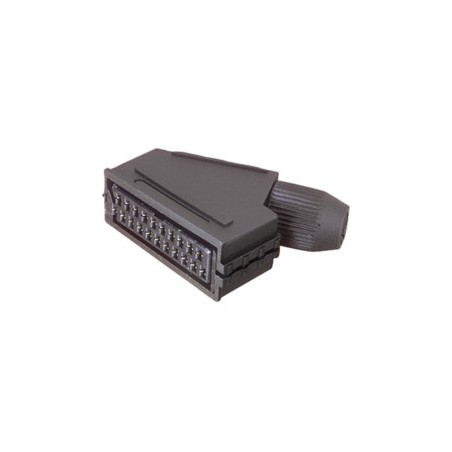 ▷ Conector  - 10.353 | Ferreidea