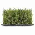 ▷ Césped Artificial Floripa Eurocesped ✔️ Ferreidea