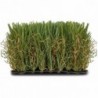 ▷ Césped Artificial Selva Eurocesped ✔️ Ferreidea