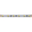 ≫ Tira Led2835 24V 4,8W-M300L-5Mip653000K 81.043-4,8-Cal ✔ Ferreidea