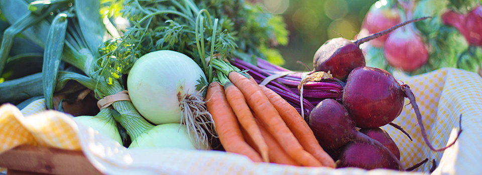 4 Trucos para Preparar tu Jardín para la Primavera