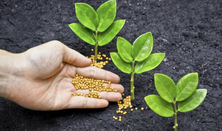 Abonos Fertilizantes para la Agricultura y Jardinería