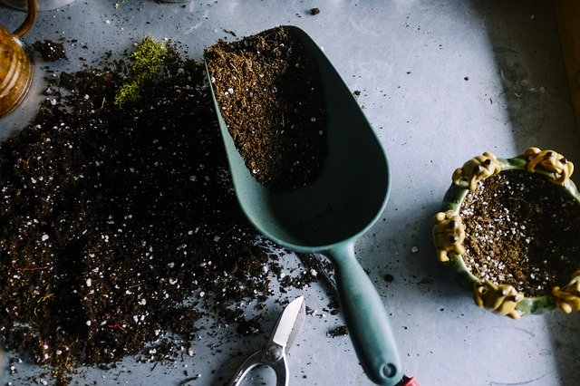 Características para el Cultivo del Terreno en Jardinería y Horticultura