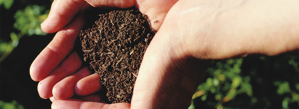 ¿Como Hacer Compost o Abono de Forma Casera?
