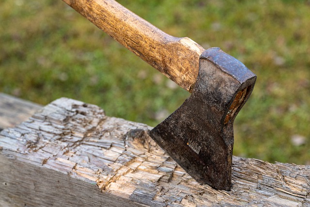¿Cuales Son las Herramientas de Corte Utilizadas en Jardinería?