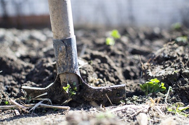Los sustratos son tierras de cultivo ya preparadas que se añaden al terreno cuando éste presenta deficiencias de nutrientes o de estructura. También pueden utilizarse en macetas y jardineras