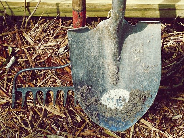 Las herramientas empleadas en jardinería ayudan a realizar las numerosas labores del jardín o la terraza de una forma eficaz, rápida y cómoda. Tanto si se trata de plantar una azalea como de podar un rosal o cortar el césped