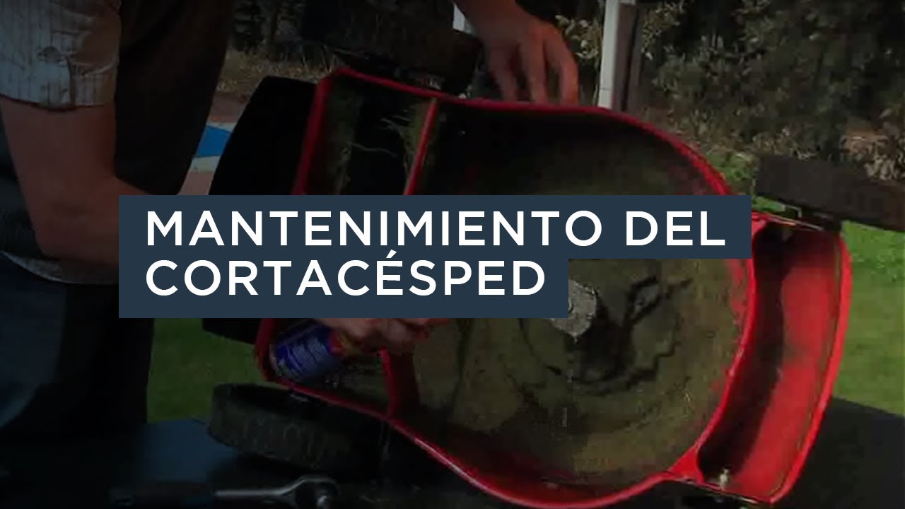 ¿Como Hacer la Limpieza y el Mantenimiento de un Cortacésped?