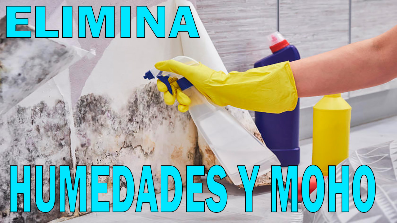 7 Consejos para EVITAR las HUMEDADES y el MOHO en el Hogar ?