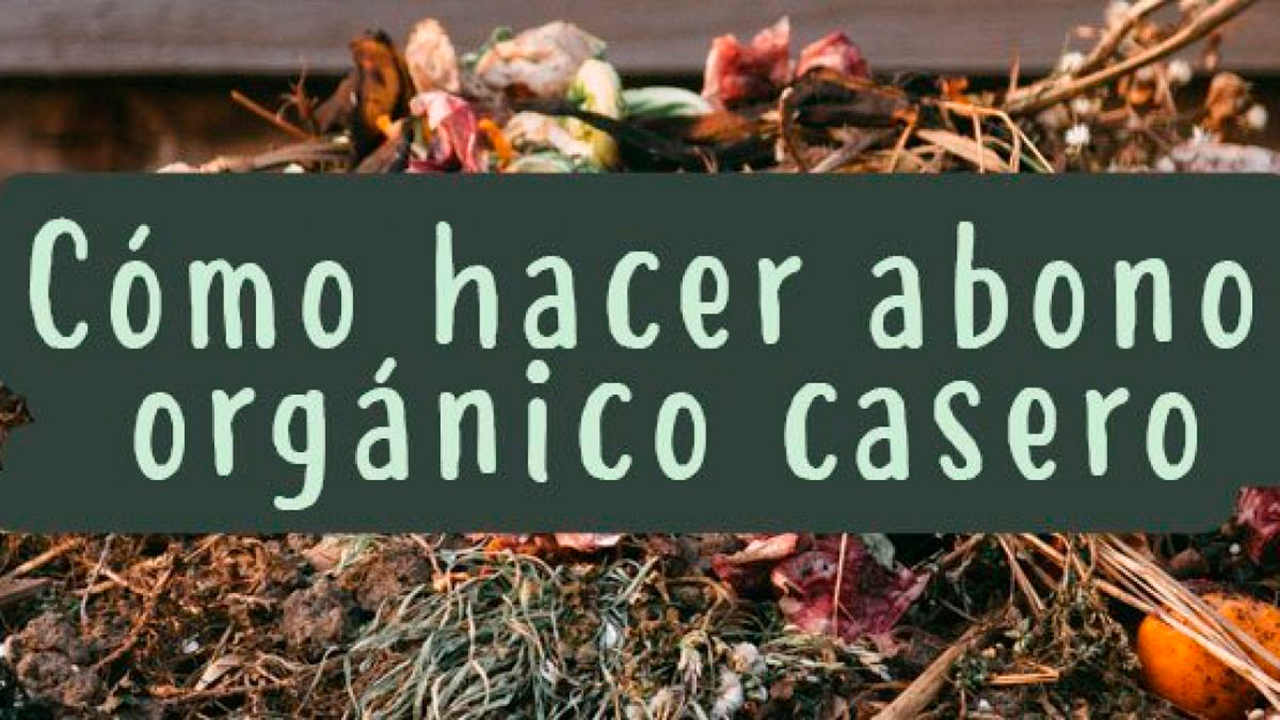 ¿Cómo Hacer tu Propio Abono Orgánico en Casa?